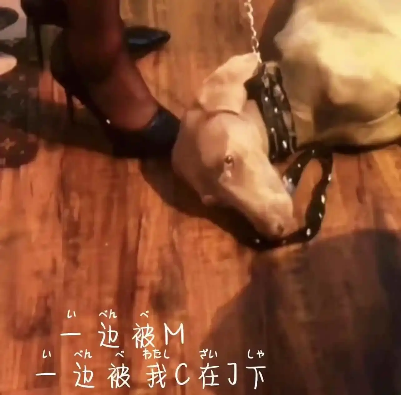 西檬之家-【践踏癖是什么？字母圈中的实践与边界控制】