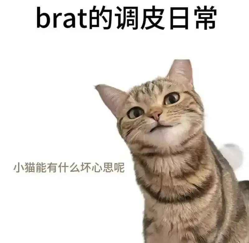 字母圈的aftercare - 微信图片_20251203212836_109_19