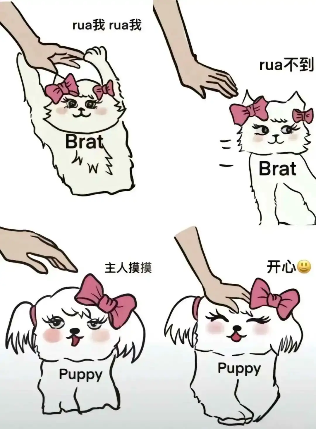 【西檬之家】字母圈的新人入圈指南：BDSM核心术语解析