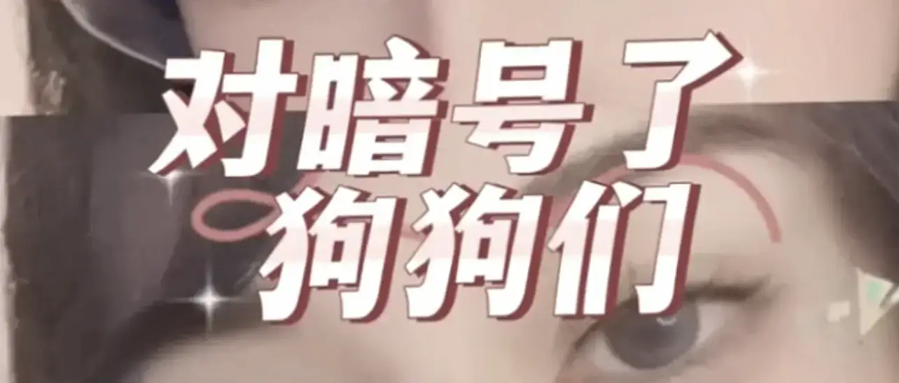 西檬之家-字母圈女王角色解析