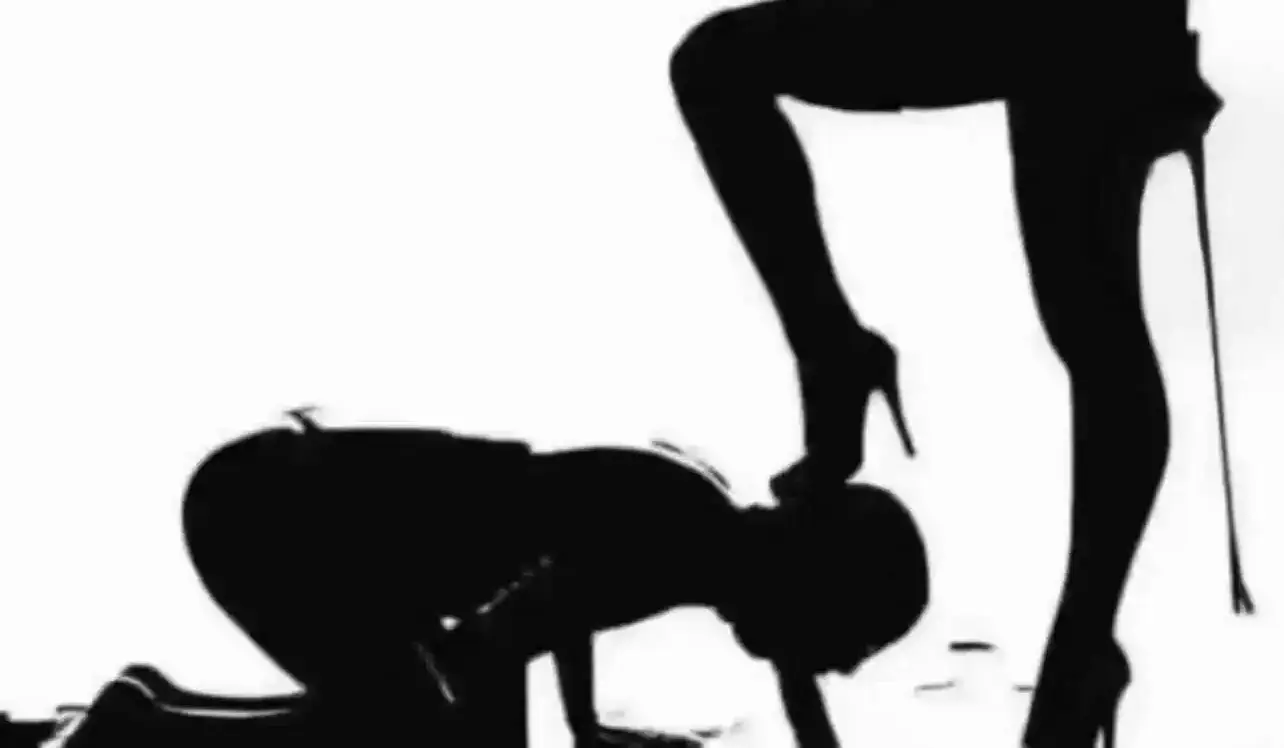 【西檬之家-字母圈新人入坑指南】新手必读的BDSM基础知识