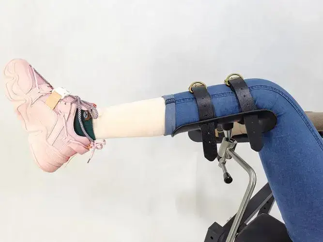 S倾向 - 11669