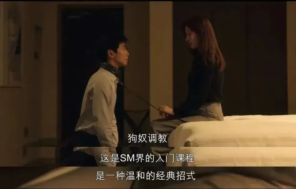 【西檬之家】- 字母圈BDSM新人全面指南