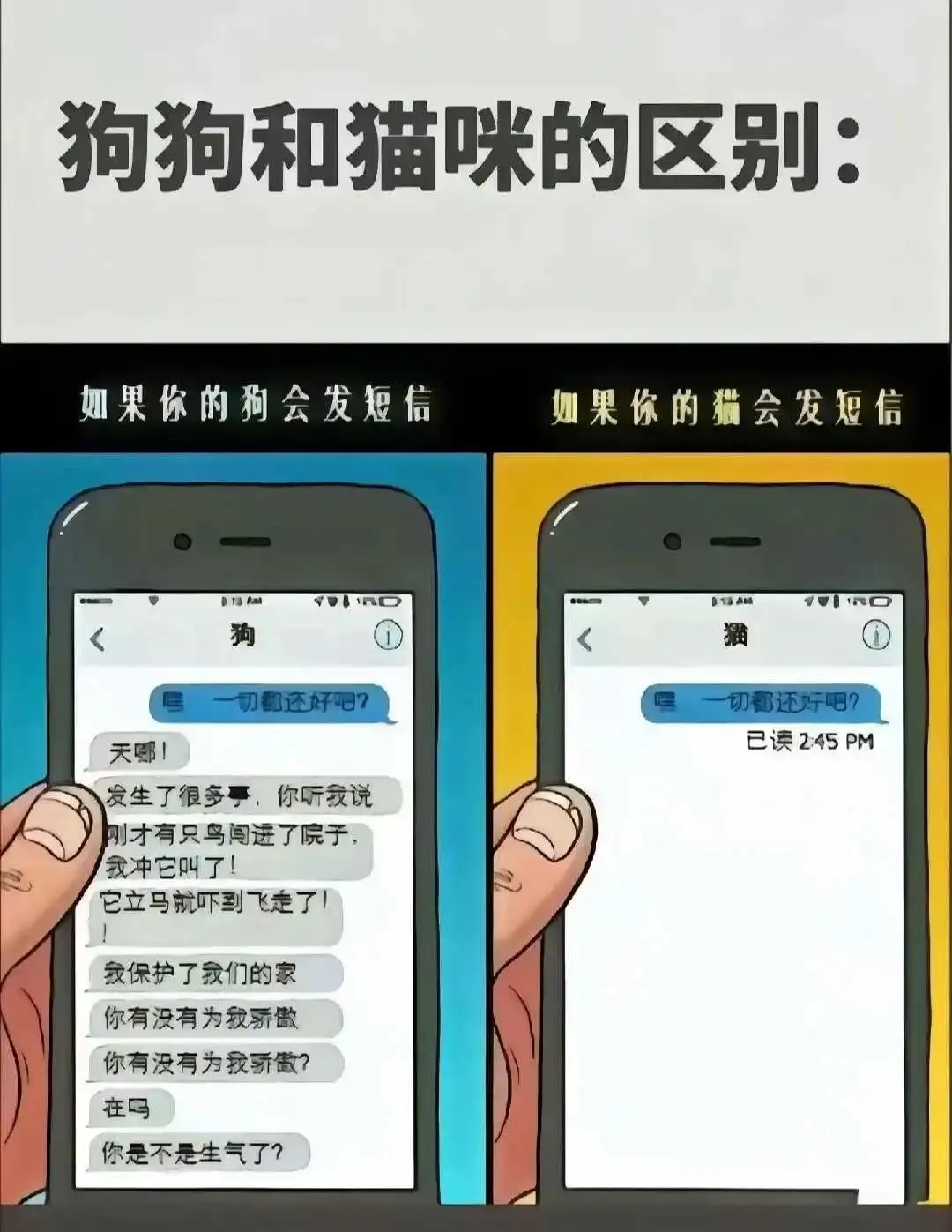 Sp - 微信图片_20250713011414
