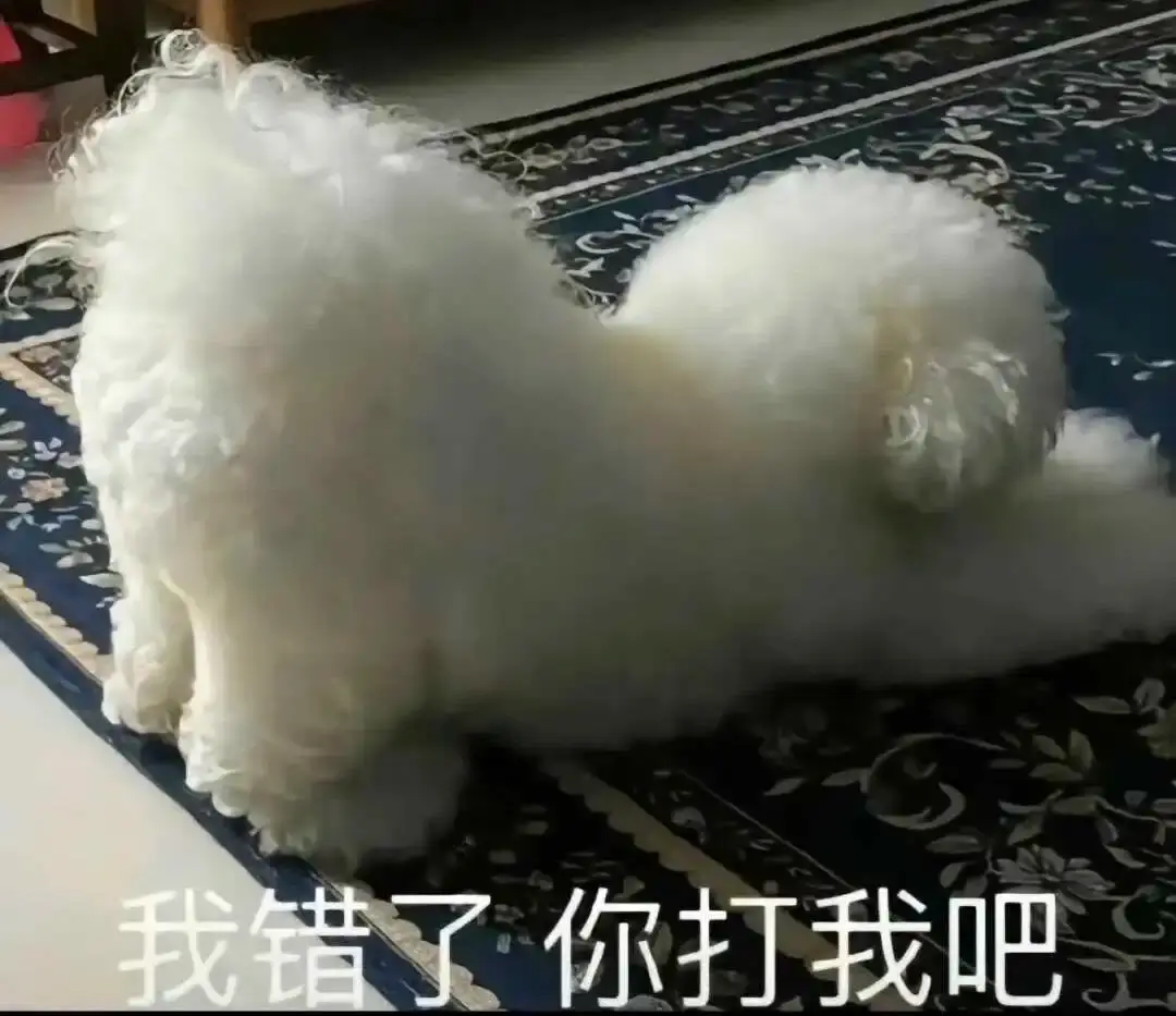 字母圈入圈 - 2023_12_05_21_26_IMG_9543