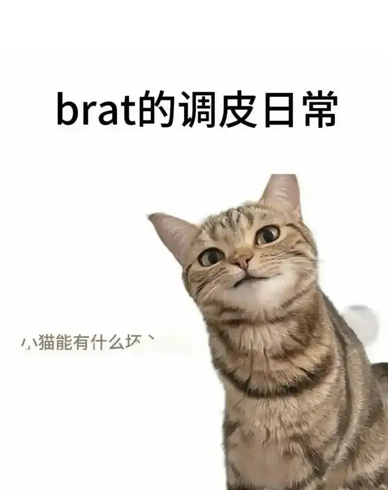 西檬之家 - 字母圈的Dom是什么意思？全面解析BDSM核心术语