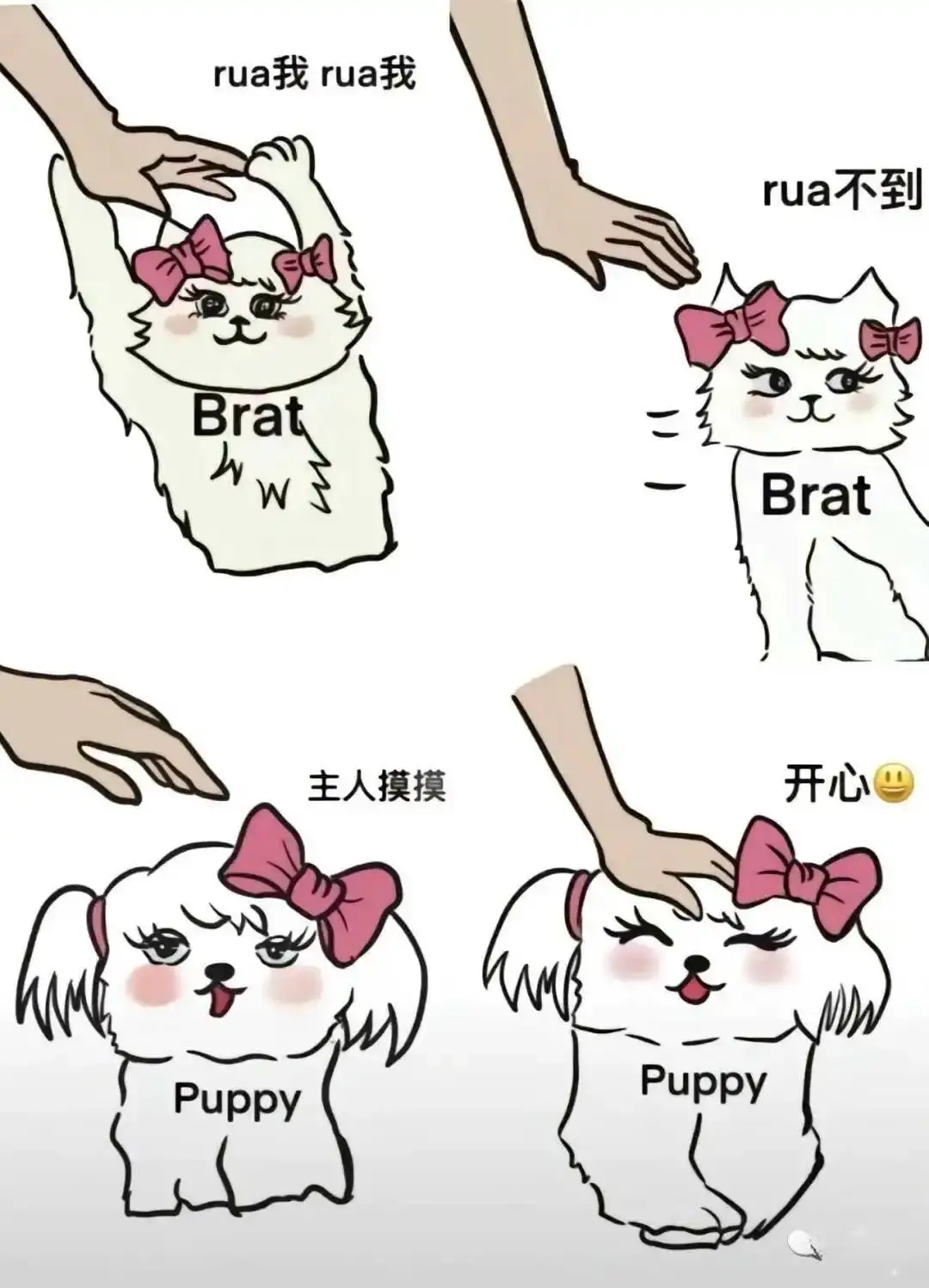 西檬之家-SP是什么？字母圈小圈拍打实践指南